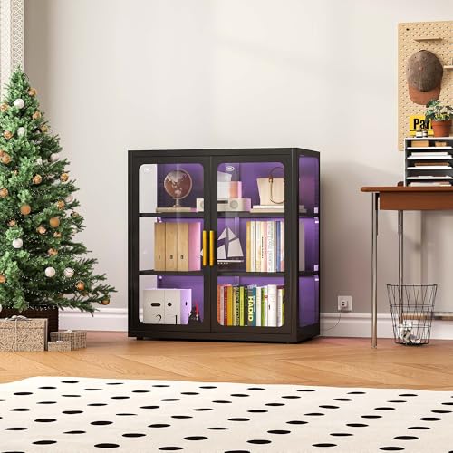 خزانة عرض بأبواب زجاجية وإضاءة - مراجعة Glass Cabinet Display وسعره